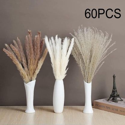 60 PCS Natural Dried Pampas Grass Bouquet, 20 White Bouquet, 20 Brown Bouquet, 20 Reed Grass Bouquet for Wedding Room Home Party Table Decor Bouquet