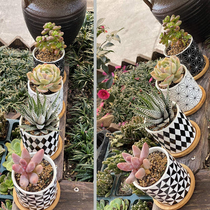 Succulent Plants Pots,Planter Pots Geometry Pots for Plants Flower Pots Indoor&Outdoor Ceramic Plants Pots for Cactus with Drain Hole and Bamboo Tray Set of 4